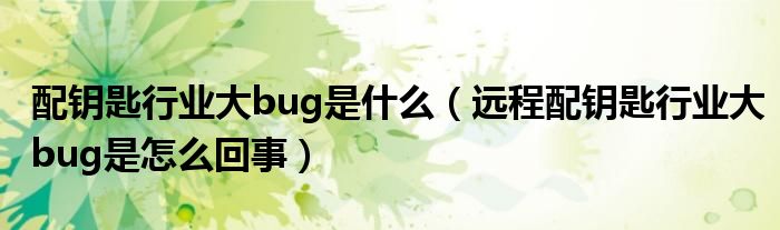 配钥匙行业大bug是什么（远程配钥匙行业大bug是怎么回事）