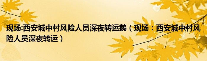 现场:西安城中村风险人员深夜转运鹅（现场：西安城中村风险人员深夜转运）