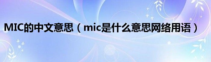 MIC的中文意思（mic是什么意思网络用语）