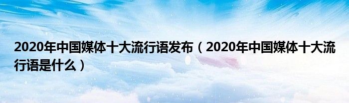 2020年中国媒体十大流行语发布（2020年中国媒体十大流行语是什么）