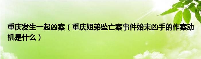 重庆发生一起凶案（重庆姐弟坠亡案事件始末凶手的作案动机是什么）