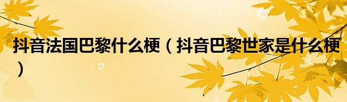 抖音法国巴黎什么梗（抖音巴黎世家是什么梗）