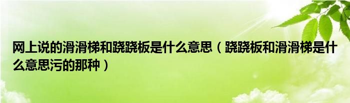 网上说的滑滑梯和跷跷板是什么意思（跷跷板和滑滑梯是什么意思污的那种）