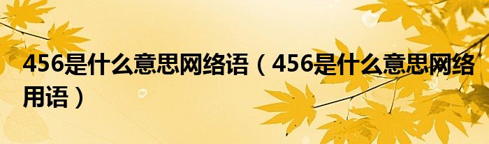 456是什么意思网络语（456是什么意思网络用语）