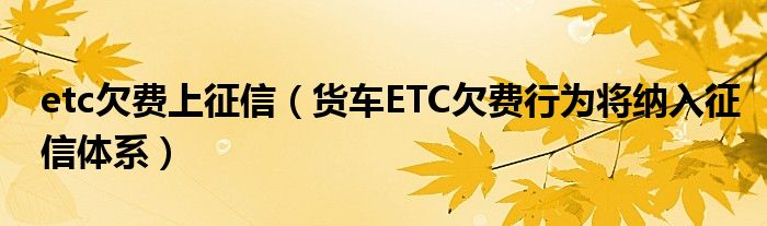 etc欠费上征信（货车ETC欠费行为将纳入征信体系）