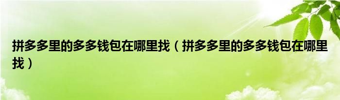 拼多多里的多多钱包在哪里找（拼多多里的多多钱包在哪里找）