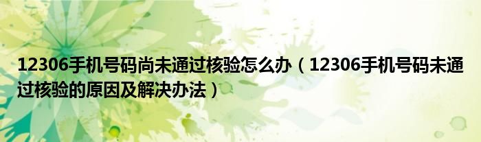 12306手机号码尚未通过核验怎么办（12306手机号码未通过核验的原因及解决办法）