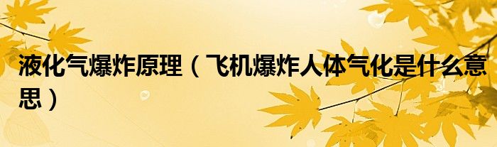 液化气爆炸原理（飞机爆炸人体气化是什么意思）