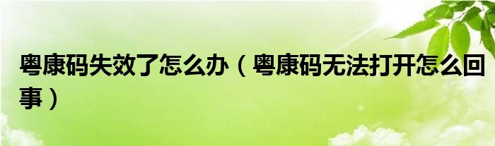 粤康码失效了怎么办（粤康码无法打开怎么回事）