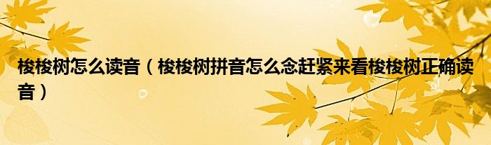 梭梭树怎么读音（梭梭树拼音怎么念赶紧来看梭梭树正确读音）