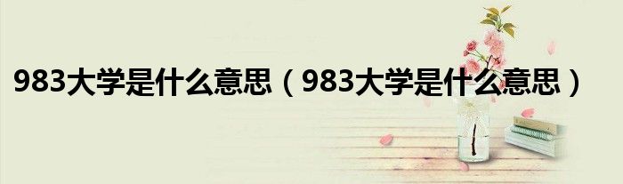 983大学是什么意思（983大学是什么意思）