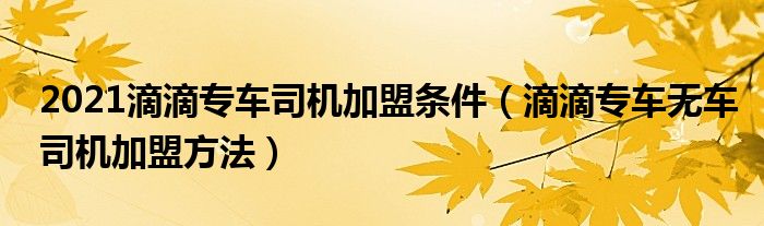 2021滴滴专车司机加盟条件（滴滴专车无车司机加盟方法）