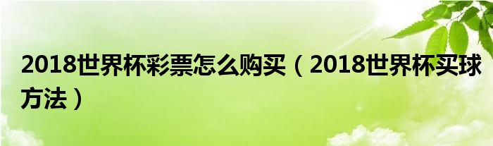 2018世界杯彩票怎么购买（2018世界杯买球方法）