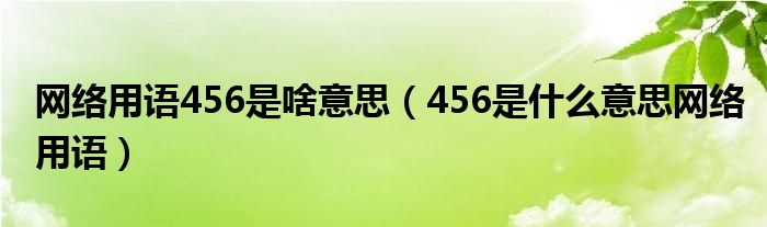 网络用语456是啥意思（456是什么意思网络用语）