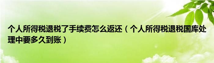 个人所得税退税了手续费怎么返还（个人所得税退税国库处理中要多久到账）