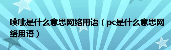 噗呲是什么意思网络用语（pc是什么意思网络用语）