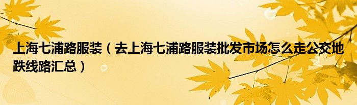 上海七浦路服装（去上海七浦路服装批发市场怎么走公交地跌线路汇总）