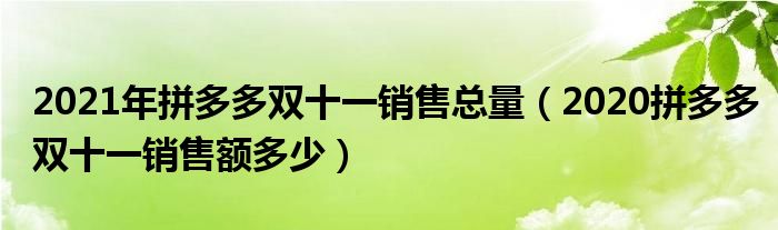 2021年拼多多双十一销售总量（2020拼多多双十一销售额多少）