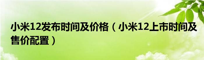 小米12发布时间及价格（小米12上市时间及售价配置）