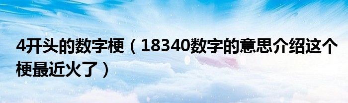 4开头的数字梗（18340数字的意思介绍这个梗最近火了）