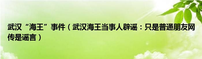 武汉“海王”事件（武汉海王当事人辟谣：只是普通朋友网传是谣言）