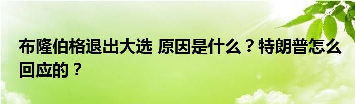 布隆伯格退出大选 原因是什么？特朗普怎么回应的？