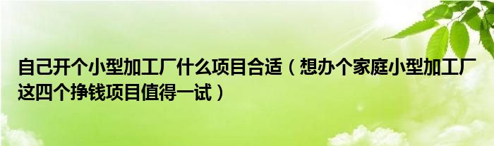 自己开个小型加工厂什么项目合适（想办个家庭小型加工厂这四个挣钱项目值得一试）