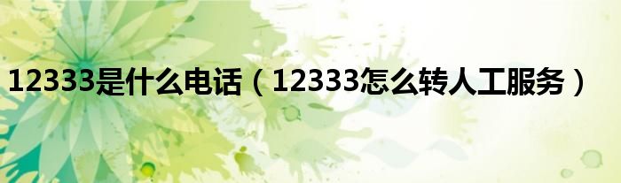 12333是什么电话（12333怎么转人工服务）