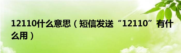 12110什么意思（短信发送“12110”有什么用）