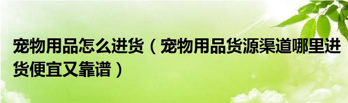 宠物用品怎么进货（宠物用品货源渠道哪里进货便宜又靠谱）