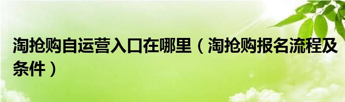 淘抢购自运营入口在哪里（淘抢购报名流程及条件）