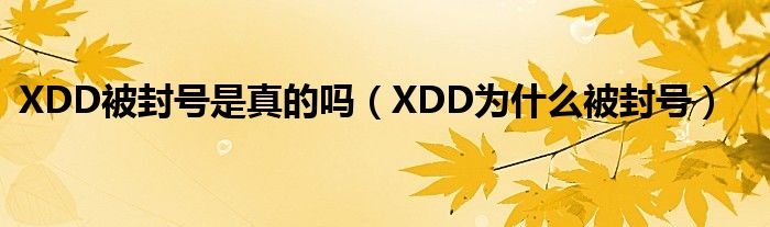 XDD被封号是真的吗（XDD为什么被封号）