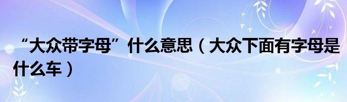 “大众带字母”什么意思（大众下面有字母是什么车）