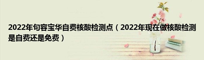 2022年句容宝华自费核酸检测点（2022年现在做核酸检测是自费还是免费）