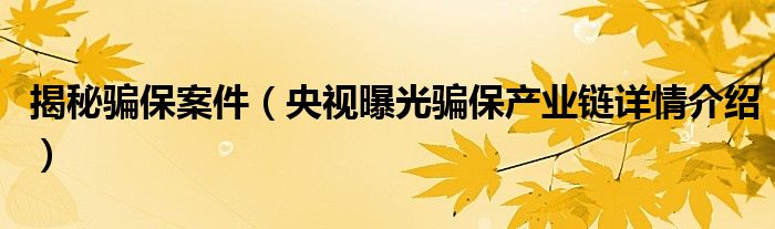 揭秘骗保案件（央视曝光骗保产业链详情介绍）