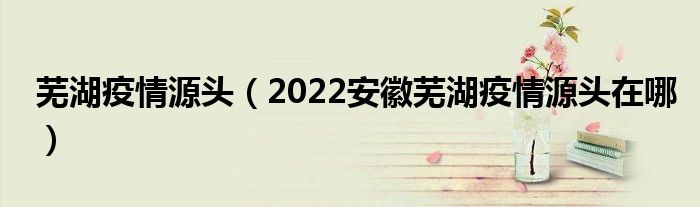 芜湖疫情源头（2022安徽芜湖疫情源头在哪）