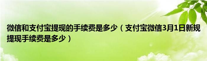 微信和支付宝提现的手续费是多少（支付宝微信3月1日新规提现手续费是多少）