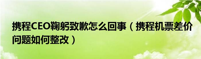 携程CEO鞠躬致歉怎么回事（携程机票差价问题如何整改）