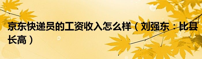 京东快递员的工资收入怎么样（刘强东：比县长高）