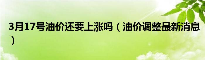 3月17号油价还要上涨吗（油价调整最新消息）