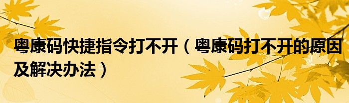 粤康码快捷指令打不开（粤康码打不开的原因及解决办法）