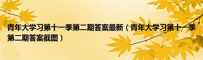 青年大学习第十一季第二期答案最新（青年大学习第十一季第二期答案截图）