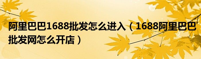 阿里巴巴1688批发怎么进入（1688阿里巴巴批发网怎么开店）