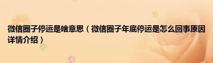 微信圈子停运是啥意思（微信圈子年底停运是怎么回事原因详情介绍）