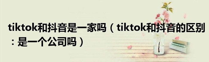 tiktok和抖音是一家吗（tiktok和抖音的区别：是一个公司吗）