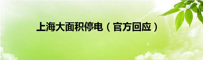 上海大面积停电（官方回应）