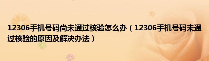 12306手机号码尚未通过核验怎么办（12306手机号码未通过核验的原因及解决办法）