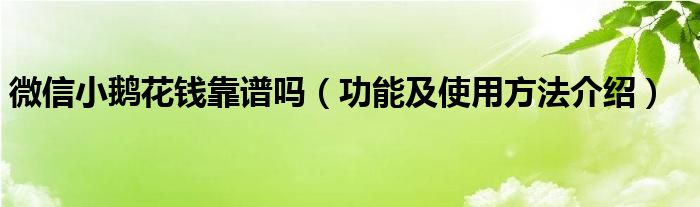 微信小鹅花钱靠谱吗（功能及使用方法介绍）