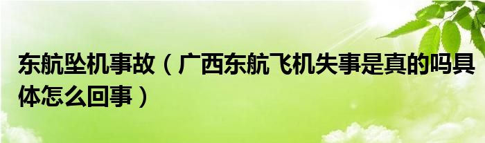 东航坠机事故（广西东航飞机失事是真的吗具体怎么回事）