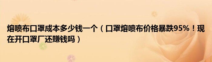 熔喷布口罩成本多少钱一个（口罩熔喷布价格暴跌95%！现在开口罩厂还赚钱吗）